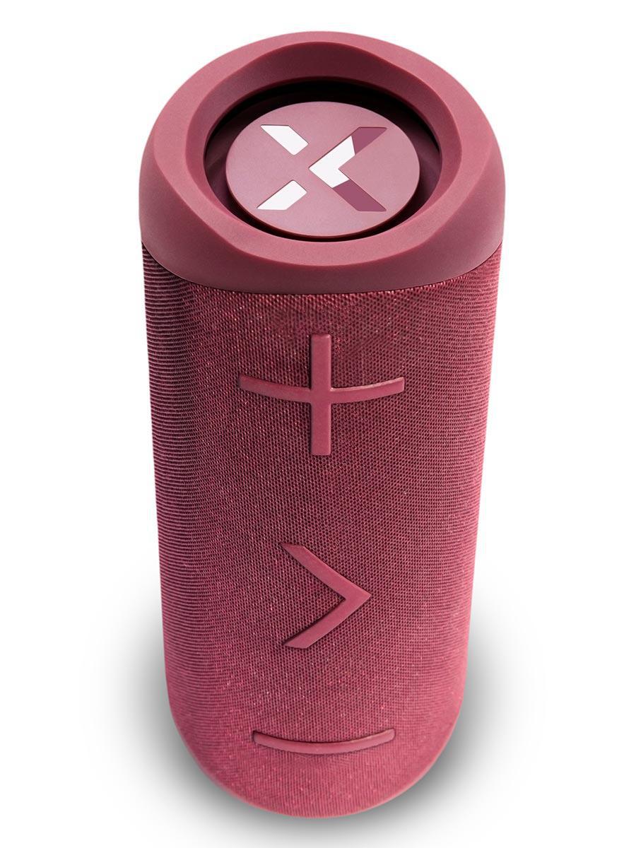 BlueAnt X2i Wireless Bluetooth Speaker